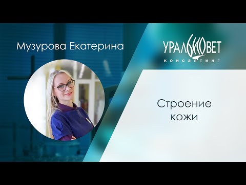 Видео: Строение кожи. Музурова Екатерина #убвк_дерматология