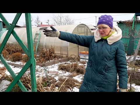 Видео: Укрытие роз на зиму в Сибири. Ковер, матрас, линолеум, розы в саду Надежды