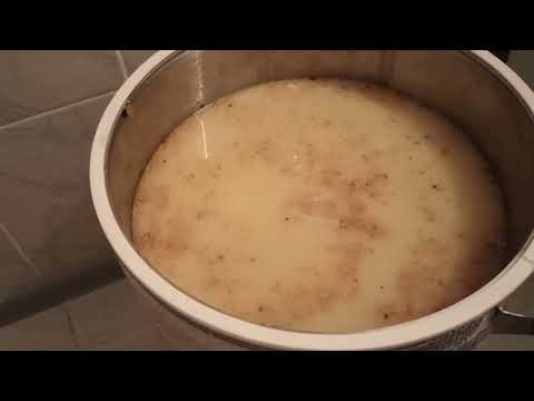 Видео: Делаю пшеничный дистиллят на Кодзи. Первый перегон.