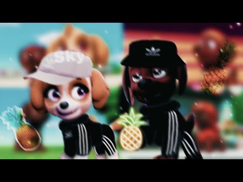 Видео: 🖇Зума и Скай🖇(Ананас-Адидас) ~Для канала Marshall{Sad Puppy}~🖇Zuma & Skye🖇