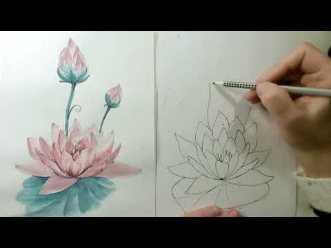 Видео: Как нарисовать цветок лотоса | Рисуем цветок лотоса |