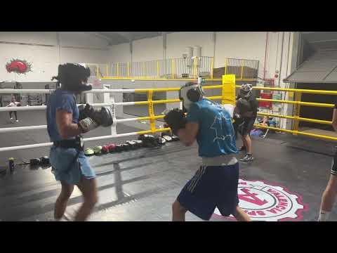 Видео: Работа в ринге над заданиями🥊❗️