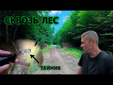 Видео: 🌲 Экстремальный поход по диким лесам! Заблудился, горы, грязь и охотничьи вышки 🌲