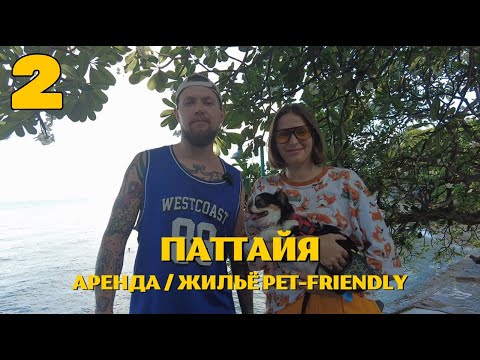 Видео: ТАИЛАНД ❗️ПАТТАЙЯ 2024.СКОЛЬКО СТОИТ АРЕНДА КОНДО (pet-friendly) ПРАТАМНАК И ДЖОМТЬЕН. "ПЕРЕЗАЛИВ"