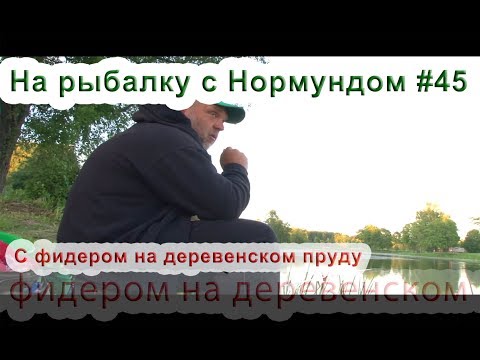 Видео: С Фидером на деревенском пруду : На рыбалку с Нормундом #45