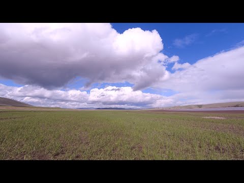 Видео: Открыли сезон | залив Уза | Красноярское водохранилище