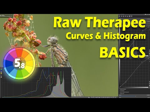 Видео: Основы Raw Therapee: кривые и гистограмма