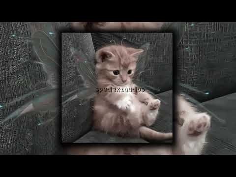 Видео: буква х - Scally Milano, LOVV66 (speed up)