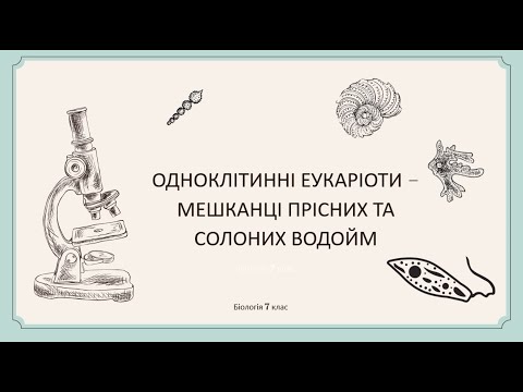 Видео: Одноклітинні еукаріоти - мешканці водойм