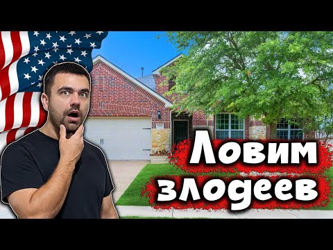 Видео: Ремонт дома превратился в погоню...