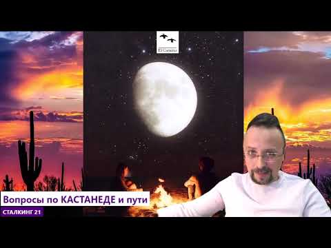 Видео: Контакт с Безмолвным ЗНАНИЕМ