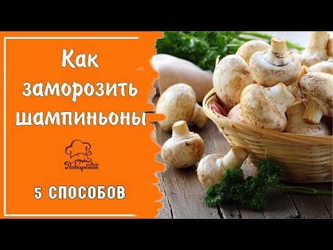 Видео: Как правильно заморозить грибы - 5 способов замораживать шампиньоны в домашних условиях