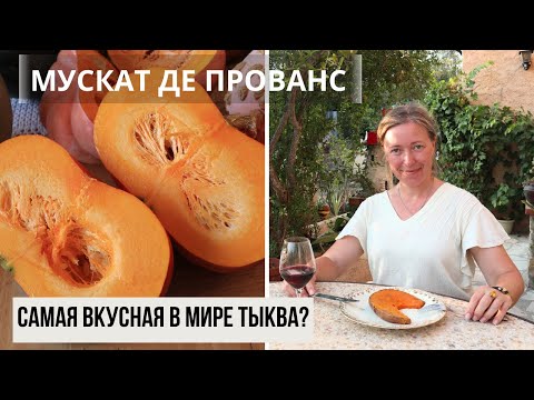 Видео: Франция vs Латвия / Дегустация  тыквы Мускат де Прованс в Провансе