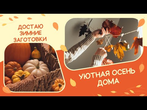 Видео: Достаю зимние заготовки 🍂 Готовим вместе | уютная осень дома