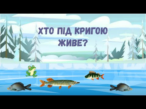 Видео: Хто під кригою живе?🐟Розповідь про життя мешканців водойм взимку.