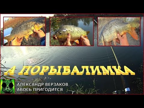 Видео: А порыбалимка. Три сазана поймал, три ушло.