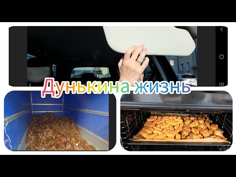 Видео: 32/Германия/Удачно съЕздила в Ausländeramt/Уборка листьев/Готовлю на семью.