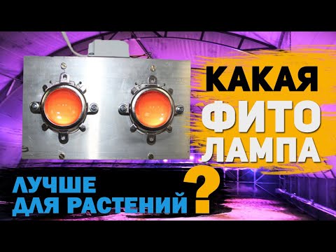 Видео: Какие выбрать фитолампы для выращивания в теплице