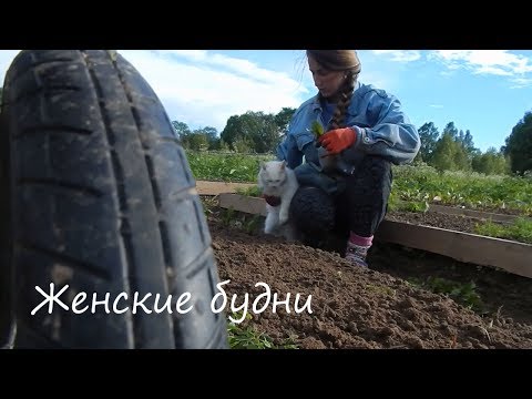 Видео: Женские будни