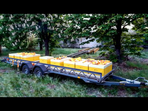 Видео: Мой опыт использования пчелоплатформ от компании "БДЖОЛОВІЗ"