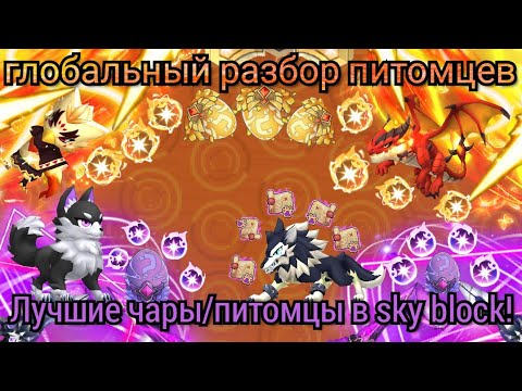 Видео: РАЗБОР ПИТОМЦЕВ В СКАЙ БЛОК! КАКИЕ ЧАРЫ НА ПИТОМЦЕВ ЛУЧШЕ ВСЕХ?! КАКИЕ ПИТОМЦЫ ЛУЧШЕ ВСЕХ?!