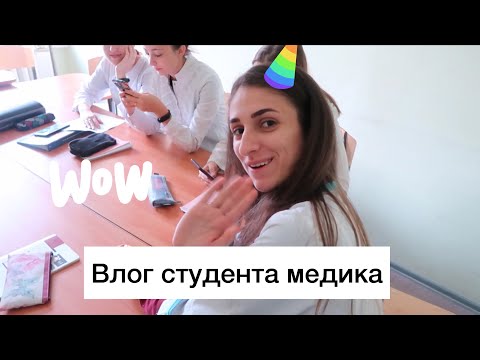 Видео: Неделя влогов | День 1