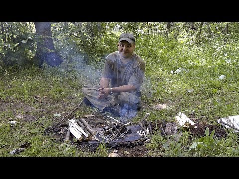 Видео: Как добыть соль в лесу.