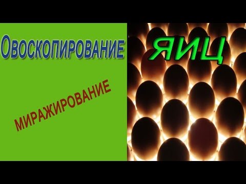 Видео: Овоскопирование яиц. Миражирование яиц.