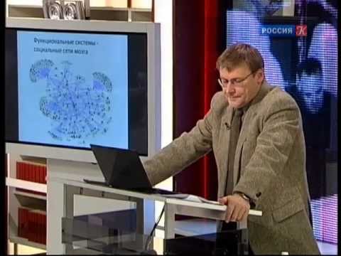 Видео: Константин Анохин - Внутри Вавилонской библиотеки мозга. 1-я лекция