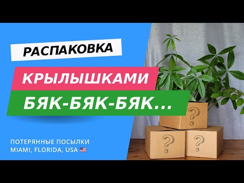 Видео: Занятная распаковка! Потерянные посылки в США, Флорида.
