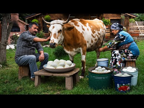 Видео: Сыр Адана из Коровьего Молока: Деревенские Традиции🐄🍃