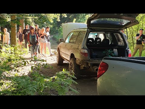 Видео: Forester Club, поляна май 2024