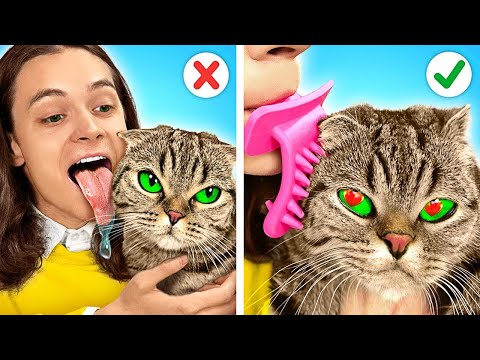Видео: TIKTOK-ГАДЖЕТЫ! Как НЕЗАМЕТНО принести ДОМОЙ КОШКУ | Лайфхаки от Ла-Ла Лайф