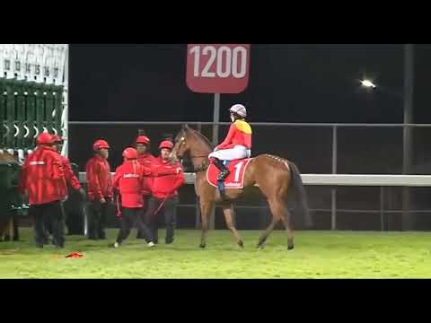 Видео: R6 Лонсестон, Австралия