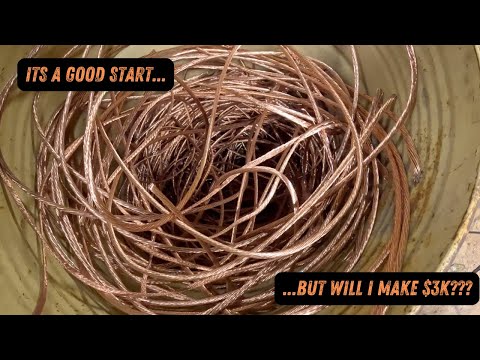 Видео: 3 дня до 3000 долларов... Удастся ли мне это? Стр. 1