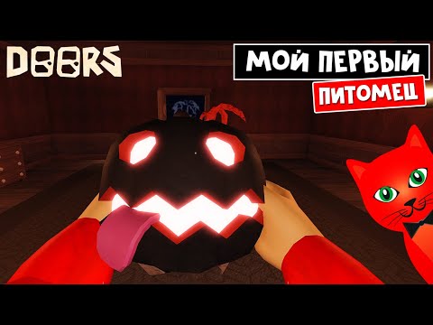 Видео: МОЙ ПЕРВЫЙ ПИТОМЕЦ в игре ДОРС роблокс | DOORS roblox | Получил ВСЕ БЕЙДЖИ и ВЕЩИ ивента!
