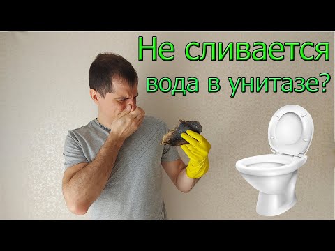 Видео: Почему не сливается вода в унитазе. Я даже не представлял что там...