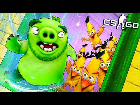 Видео: ВСЕ НА СВИНЬЮ! ЗЛЫЕ ЖЁЛТЫЕ ПТИЧКИ vs ОГРОМНАЯ СВИНЬЯ! МАНЬЯК В CS:GO (ВЕСЕЛЫЕ ПРЯТКИ В КС ГО)