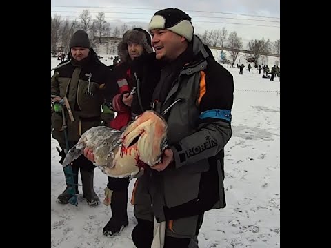 Видео: Зимняя рыбалка в Подмосковье, крх" Еганово" обзор платных водоёмов