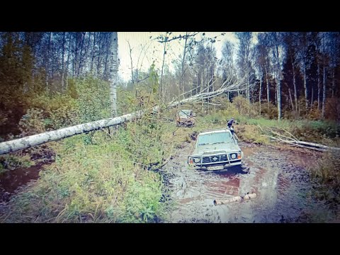Видео: Опасный офроуд в Синявинских лесах.