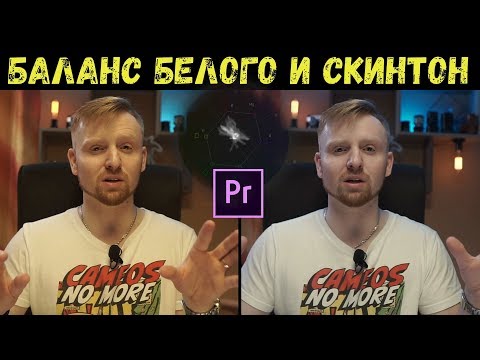 Видео: Основы видеосъемки. Баланс белого и скинтон.