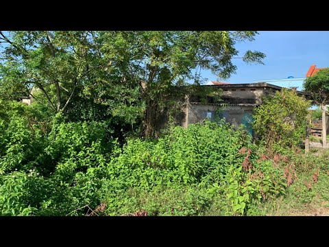 Видео: Я расчистил заросший лес за 20-летним заброшенным домом _ ПРЕОБРАЗИЛСЯ КРАСИВЫМ