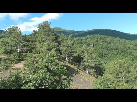 Видео: Снова выход на Ай - Йори, очень трудовой коп получился.