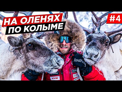 Видео: КАК ЖИВУТ ОЛЕНЕВОДЫ НА КОЛЫМЕ. ДОРОГА НА ПОЛЮС ХОЛОДА, ПУТЬ ОБРАТНО НА ТРАССУ КОЛЫМА. Часть #4