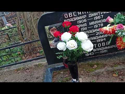 Видео: 21 октября 2025 г.