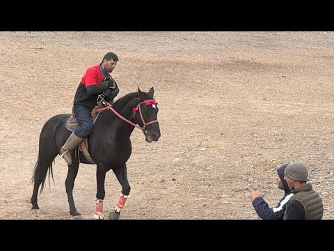 Видео: Бузкаши н.Точикобод д.Қалъа 05.01.2025