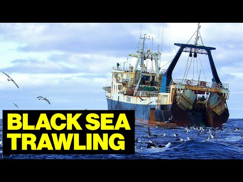 Видео: Жизнь внутри коммерческого тралового судна в Черном море