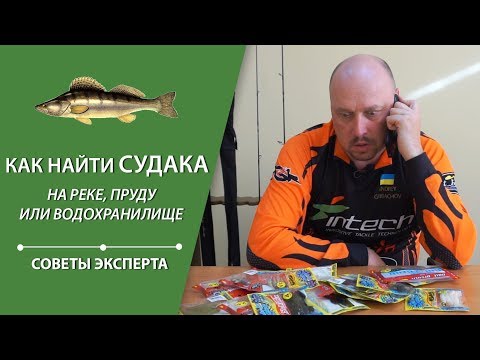 Видео: Как найти судака на реке, пруду или водохранилище | Советы эксперта