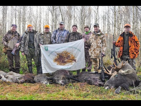 Видео: Охота на лося, кабана и косулю. Охота в Республике Беларусь, часть-4.