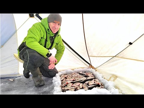 Видео: ЖОР ОТБОРНОЙ ПЛОТВЫ, ОДИН НА ЛЬДУ, ЗАБРАЛСЯ ТУДА, КУДА НЕ ДОЕХАТЬ